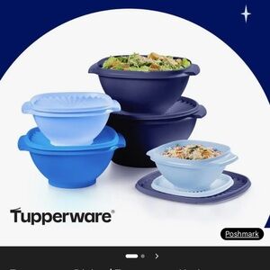 Tupperware Servalier Bowl Set - Dark Blue and Light Blue